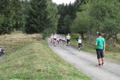 Crosslauf "Rund um den Mühlberg" 2015