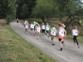 Crosslauf 2015006