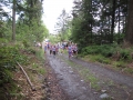 Crosslauf 2015013