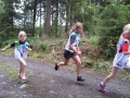 Crosslauf 2015015