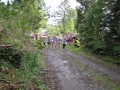 Crosslauf 2015023