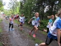Crosslauf 2015024