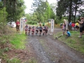 Crosslauf 2015063