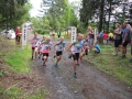 Crosslauf 2015064