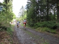 Crosslauf 2015070