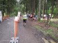 Crosslauf 2015090